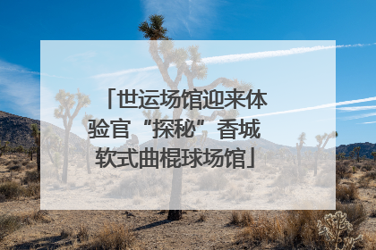 世运场馆迎来体验官“探秘”香城软式曲棍球场馆