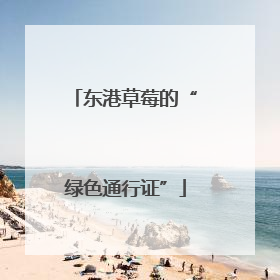 东港草莓的“绿色通行证”
