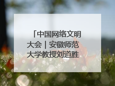 中国网络文明大会｜安徽师范大学教授刘道胜：“E”览徽风，构筑中华民族共有精神家园