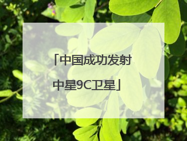 中国成功发射中星9C卫星