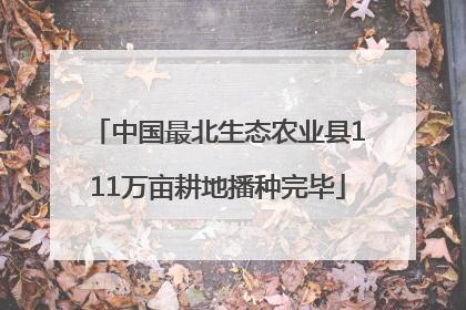 中国最北生态农业县111万亩耕地播种完毕