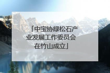中宝协绿松石产业发展工作委员会在竹山成立