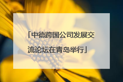 中德跨国公司发展交流论坛在青岛举行