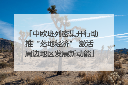 中欧班列密集开行助推“落地经济” 激活周边地区发展新动能
