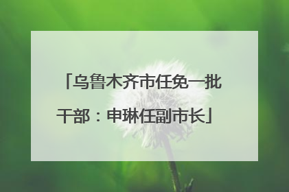 乌鲁木齐市任免一批干部：申琳任副市长