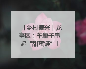 乡村振兴｜龙亭区：车厘子串起“甜蜜链”