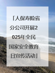 人保寿险省分公司开展2025年全民国家安全教育日宣传活动