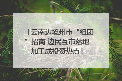 云南边境州市“组团”招商 边民互市落地加工成投资热点