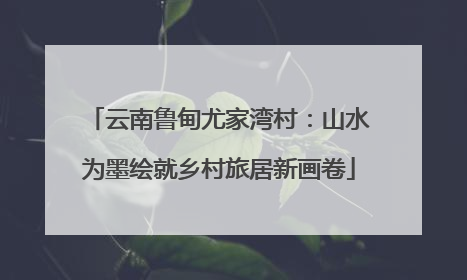 云南鲁甸尤家湾村：山水为墨绘就乡村旅居新画卷