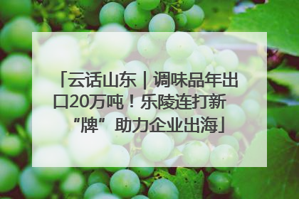 云话山东｜调味品年出口20万吨！乐陵连打新“牌”助力企业出海