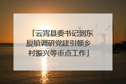 云霄县委书记到东厦镇调研党建引领乡村振兴等重点工作