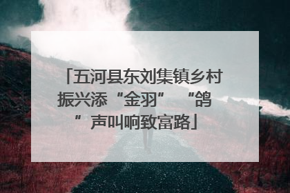 五河县东刘集镇乡村振兴添“金羽” “鸽”声叫响致富路