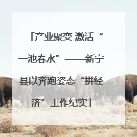 产业聚变 激活“一池春水”——新宁县以奔跑姿态“拼经济”工作纪实