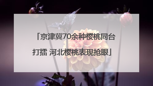 京津冀70余种樱桃同台打擂 河北樱桃表现抢眼