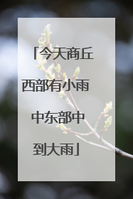 今天商丘西部有小雨 中东部中到大雨