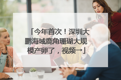 今年首次！深圳大鹏海域鹿角珊瑚大规模产卵了，视频→