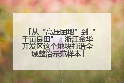 从“高压困地”到“千亩良田”：浙江金华开发区这个地块打造全域整治示范样本