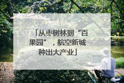 从枣树林到“百果园”，航空新城种出大产业