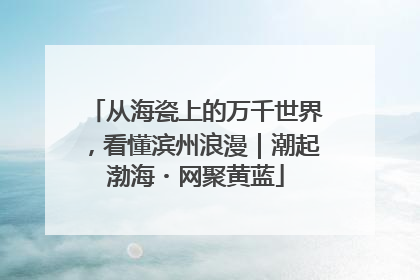 从海瓷上的万千世界，看懂滨州浪漫｜潮起渤海・网聚黄蓝