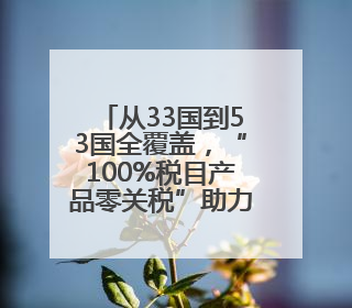 从33国到53国全覆盖，“100%税目产品零关税”助力非洲优质商品入华