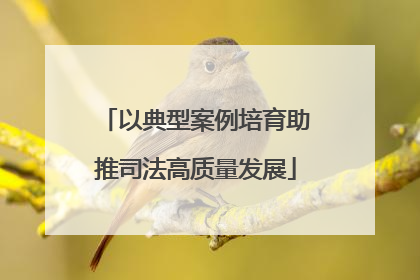 以典型案例培育助推司法高质量发展
