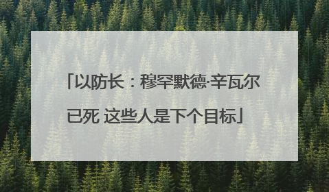 以防长：穆罕默德·辛瓦尔已死 这些人是下个目标