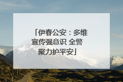 伊春公安：多维宣传强意识 全警聚力护平安