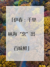 伊春：千里林海“烹”出百味鲜