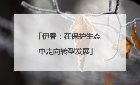 伊春：在保护生态中走向转型发展