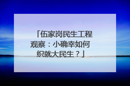 伍家岗民生工程观察：小确幸如何织就大民生？