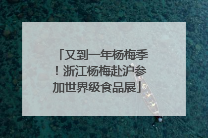 又到一年杨梅季！浙江杨梅赴沪参加世界级食品展
