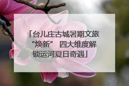 台儿庄古城暑期文旅“焕新” 四大维度解锁运河夏日奇遇