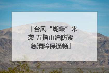 台风“蝴蝶”来袭 五指山消防紧急清障保通畅