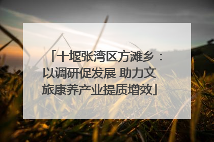 十堰张湾区方滩乡：以调研促发展 助力文旅康养产业提质增效