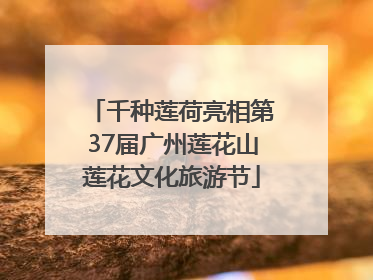 千种莲荷亮相第37届广州莲花山莲花文化旅游节