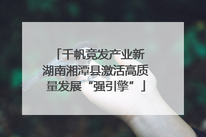 千帆竞发产业新 湖南湘潭县激活高质量发展“强引擎”