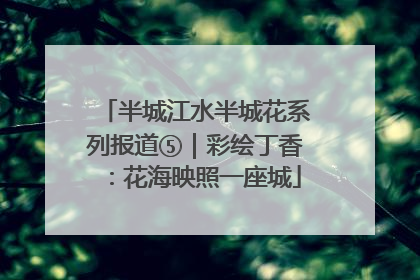 半城江水半城花系列报道⑤｜彩绘丁香：花海映照一座城