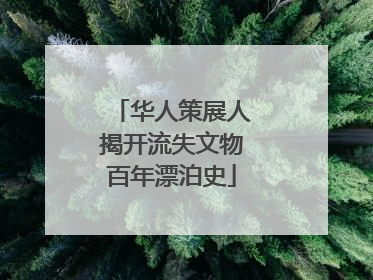 华人策展人揭开流失文物百年漂泊史