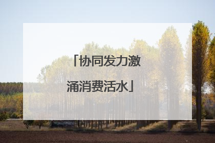 协同发力激涌消费活水