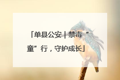 单县公安｜禁毒“童”行，守护成长