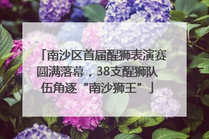 南沙区首届醒狮表演赛圆满落幕，38支醒狮队伍角逐“南沙狮王”