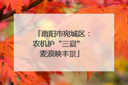 南阳市宛城区：农机护“三夏” 麦浪映丰景