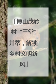 博山茂岭村“三堂”并蒂，解锁乡村文明新风