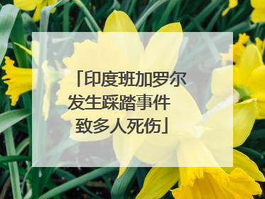 印度班加罗尔发生踩踏事件 致多人死伤