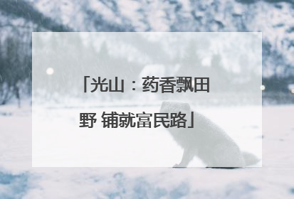 光山：药香飘田野 铺就富民路