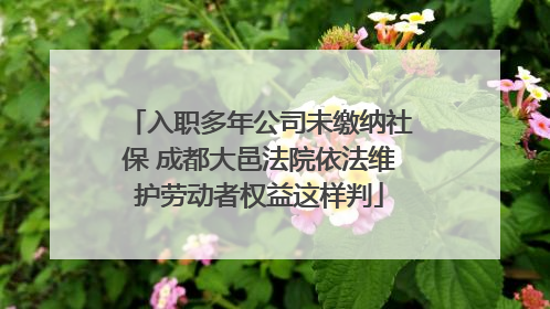 入职多年公司未缴纳社保 成都大邑法院依法维护劳动者权益这样判