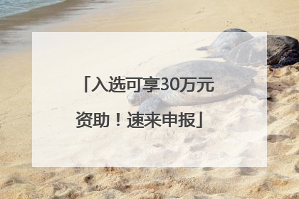 入选可享30万元资助！速来申报