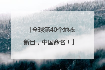全球第40个地衣新目，中国命名！