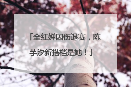 全红婵因伤退赛，陈芋汐新搭档是她！