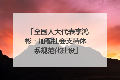全国人大代表李鸿彬：加强社会支持体系规范化建设